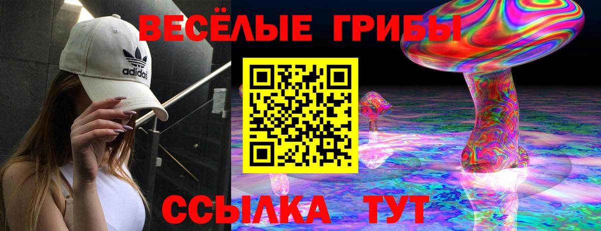 Галлюциногенные грибы мухоморы  Вход с VPN  Саянск 