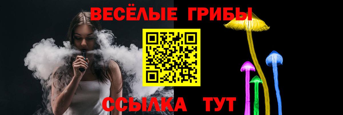 Псилоцибиновые грибы Cubensis Саянск